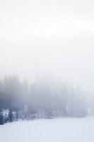 Forsty Haze