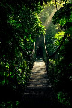 Hängende Brücke Dschungel von Poster Art Shop