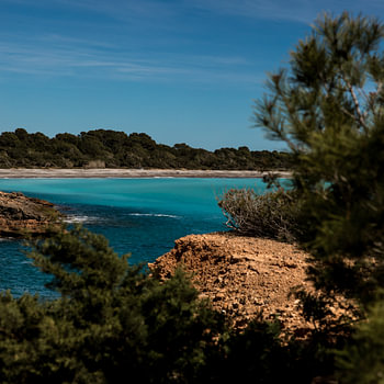 Strand van Es Codolar