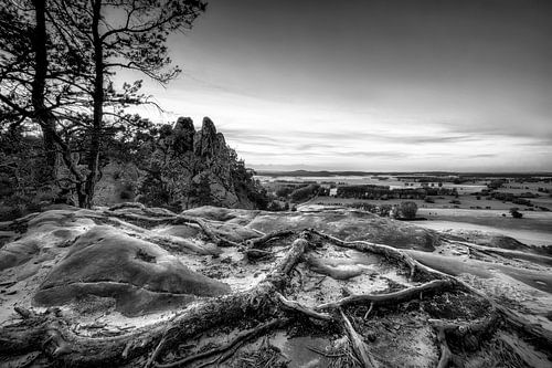 Landschap in de Harz in zwart-wit