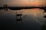Windmolens in Kinderdijk tijdens zonsondergang van Jeroen Stel thumbnail