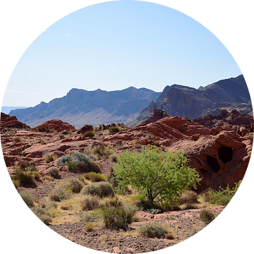 Afgelegen landschap van Frank's Awesome Travels