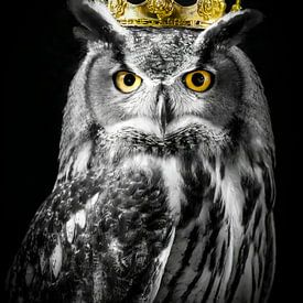 Owl in black and white with golden crown by John van den Heuvel