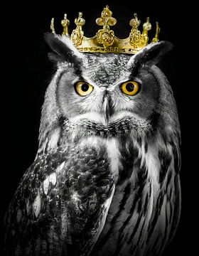 Hibou en noir et blanc avec couronne dorée sur John van den Heuvel