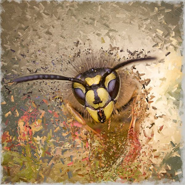 Digital painting Wasp by DroomGans