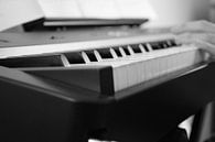 Piano in zwart-wit van Dominique Van Gerwen thumbnail
