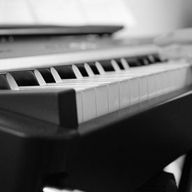 Piano in black and white by Dominique Van Gerwen