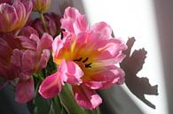 Bloeiend tulpenboeket van Nina van Vlaanderen thumbnail