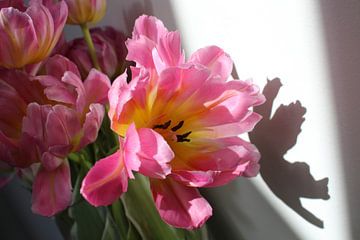 Bloeiend tulpenboeket van Nina van Vlaanderen