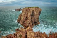 Islands off Sagres by Detlef Hansmann Photography thumbnail