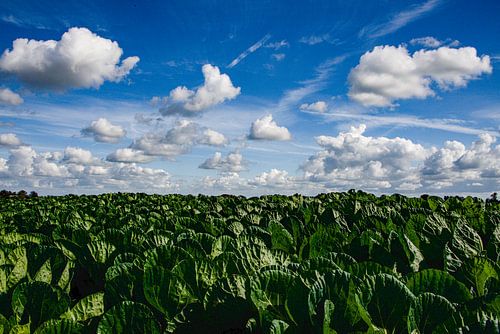 Paysage, Paysages nuageux, Pays-Bas, Photographie