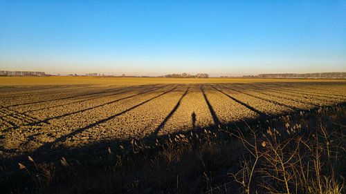 Winter flatland / farmland in the south of the Netherlands