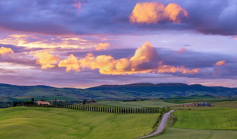 Gouden ochtend in Toscane van Adelheid Smitt