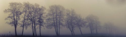 An einem nebligen Morgen