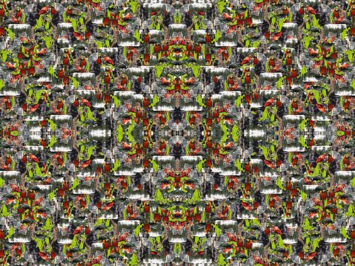 Compositie van dieren