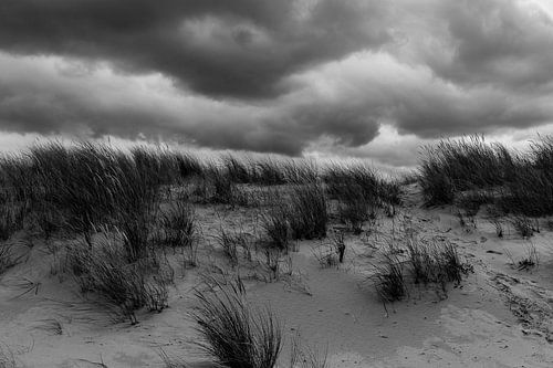 NP Duinen van Texel