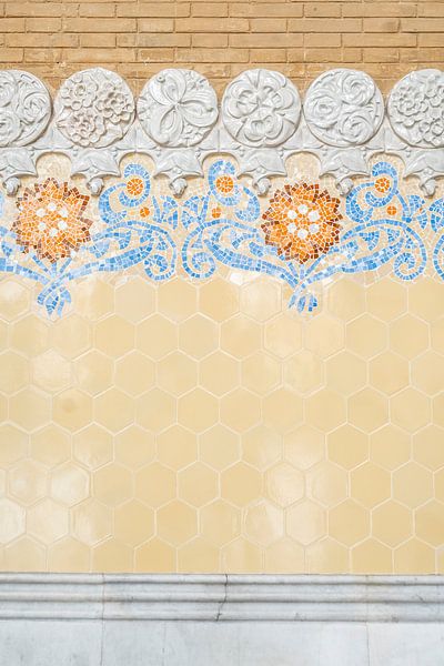 Details | Hospital de Sant Pau van Femke Ketelaar
