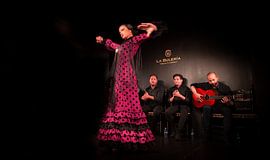 Dansons sur Lex Scholten