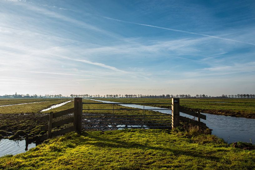 Meadows in North Holland. by Brian Morgan