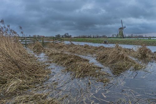 Boezemmolen no. 6, Haastrecht - Hoogwater