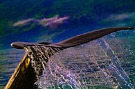 Tail of a humpback by Anne Ponsen thumbnail