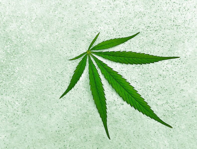 Weed-Transfer (Wiet, Weed, Hennep, Cannabis) van Caroline Lichthart