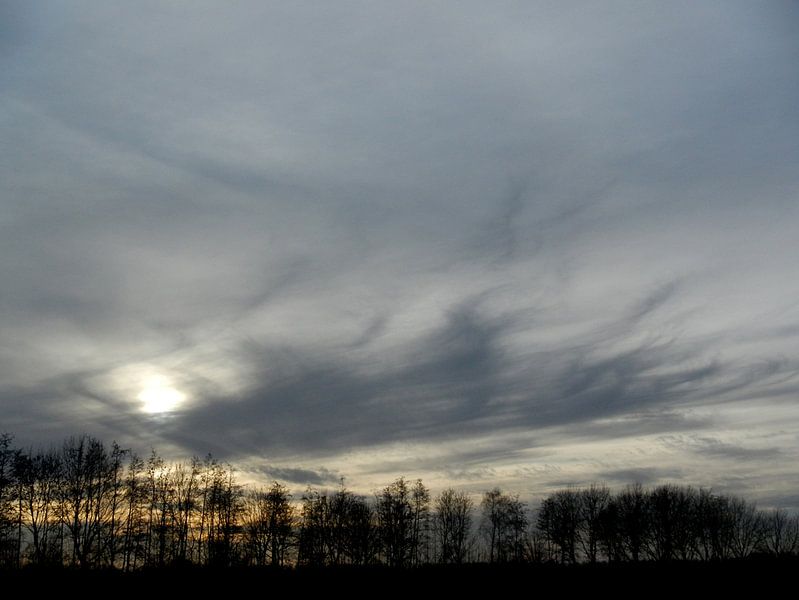 Nederland by Nick Kidman