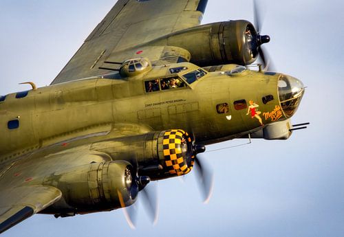 B17 sally b