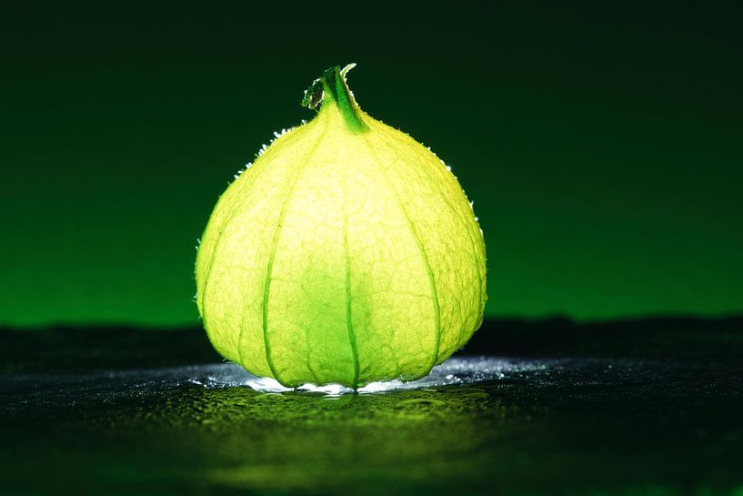 Physalis fruits with light spot by Martin Köbsch
