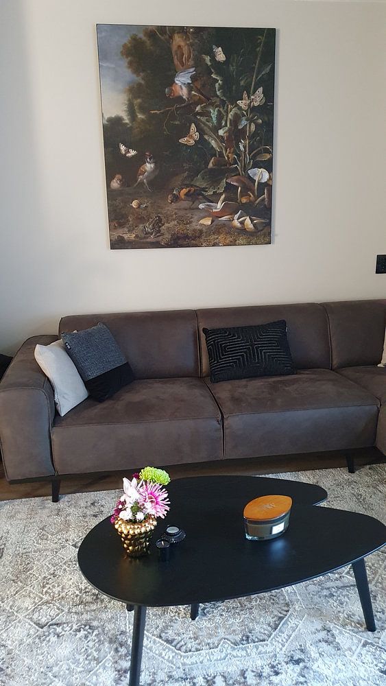 Oiseaux, papillons et une grenouille parmi les plantes et les champignons, Melchior d'Hondecoeter 