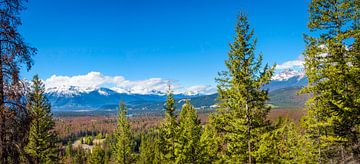 View over valley with Maligne Lake, Canada by Rietje Bulthuis