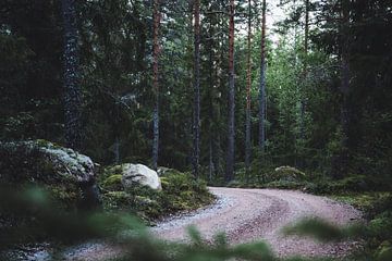 View through to forest road in Sweden by Merlijn Arina Photography