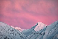 Pink skies over the Kongsfjorden by Martijn Smeets thumbnail