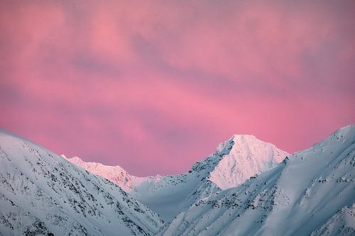 Roze luchten boven de Kongsfjorden