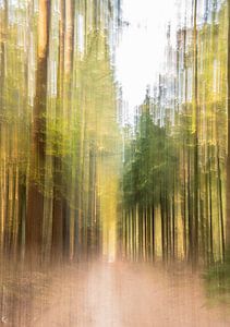 Speulderbos Teil 3