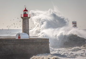 Stormachtige Serenade - De Vuurtoren van Porto von Rudolfo Dalamicio