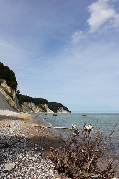 Kreideküste  Rügens von Ostsee Bilder