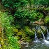 Schiessentümpel waterfall near Mullerthal, Luxembourg by Jessica Lokker