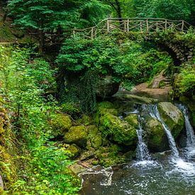 Schiessentümpel-Wasserfall bei Mullerthal, Luxemburg von Jessica Lokker