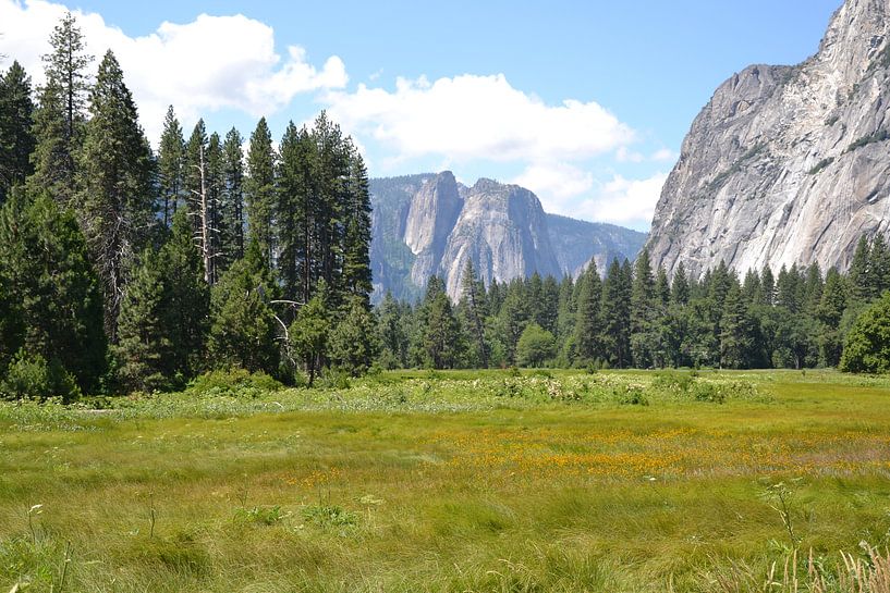 Nature's Festival by Wessel Smit