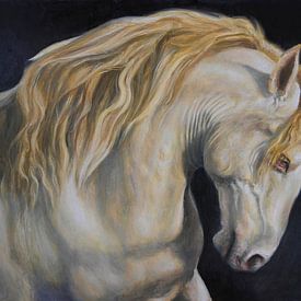 Gold horse by KB Prints
