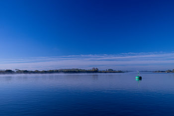 Blue Scheldt