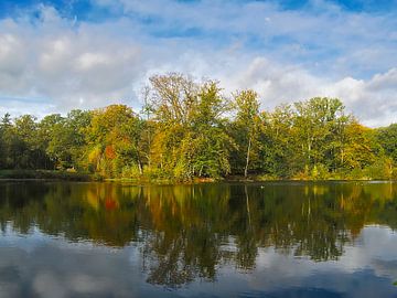 Autumnal colours on the lake shore by Roger Trelou
