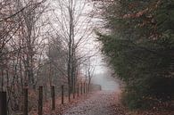 Nebliger Morgen in Rhenen von Tania Perneel Miniaturansicht