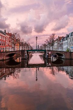 Leiden turns pink at the Louris Bridge over the Herengracht. (0121) by Reezyard