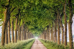 Oneindig van Lars van de Goor