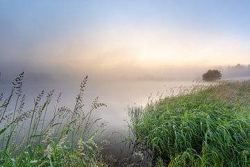 Ambiance brumeuse à l'étang du marais sur Steffen Henze