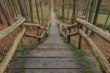 Die Treppe zu schönen Plätzen im Wald von Robby's fotografie