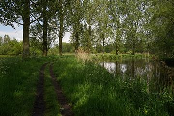 walking along the Dommel