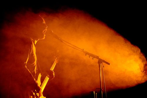 Deus basgitarist: Alan Gevaert